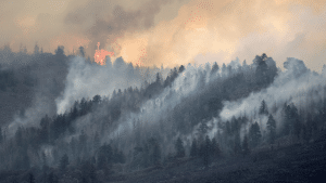 Un incendio forestal en Colorado con humo que se eleva desde una línea de árboles en la ladera de una montaña.